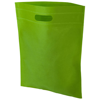 The Freedom Heat Seal Exhibition Tote in lime-and-grey