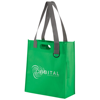 Expo Bag in green