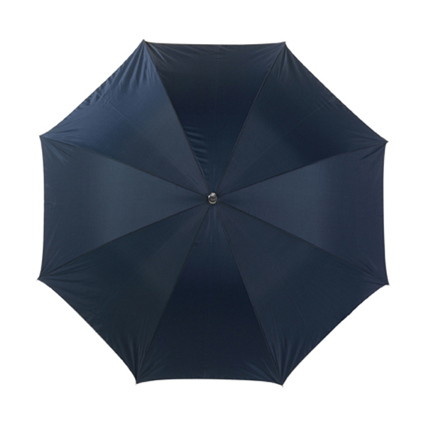 Umbrella with silver underside in blue-and-silver