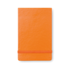 Vertical Format Notebook in orange