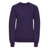 Kids Raglan Sleeve Sweatshirt in purple