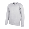 Academy Raglan Sweatshirt in academy-grey