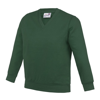 Kids Academy V-Neck Sweatshirt in academy-green