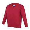 Kids Academy V-Neck Sweatshirt in academy-red