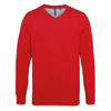 Men'S Cotton Blend V-Neck Sweater in cherry-red