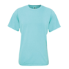 Adult Heavyweight Tee in chalky-mint