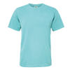 Adult Heavyweight Tee in seafoam