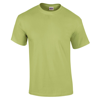 Ultra Cotton Adult T-Shirt in pistachio