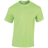 Heavy Cotton Adult T-Shirt in mint