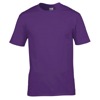 Premium Cotton T-Shirt in purple