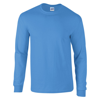 Ultra Cotton Adult Long Sleeve T-Shirt in carolina-blue