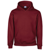 Heavy Blend Youth Hooded Sweatshirt in garnet