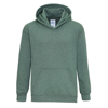 Heavy Blend Youth Hooded Sweatshirt in heather-sport-dark-green