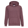 Heavy Blend Youth Hooded Sweatshirt in heather-sport-dark-maroon