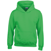 Heavy Blend Youth Hooded Sweatshirt in irish-green