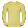 Long Sleeve Hd T in yellow-marl