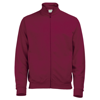 Fresher Full Zip Sweatshirt in burgundy