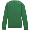 Kids Awdis Sweatshirt in kelly-green