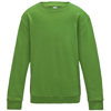 Kids Awdis Sweatshirt in lime-green