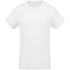 Organic Cotton Crew Neck T-Shirt in white