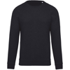 Organic Cotton Crew Neck Raglan Sleeve Sweatshirt in french-navy-heather