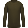 Organic Cotton Crew Neck Raglan Sleeve Sweatshirt in moss-green