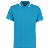Tipped Collar Polo in turquoise-white