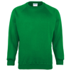 Kids Coloursure Sweatshirt in emerald