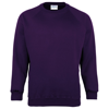 Kids Coloursure Sweatshirt in purple