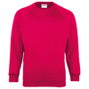 Kids Coloursure Sweatshirt in raspberry