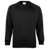 Coloursure Sweatshirt in black
