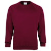 Coloursure Sweatshirt in burgundy