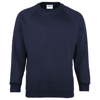 Coloursure Sweatshirt in navy