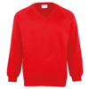 Kids Coloursure V-Neck Sweatshirt in red