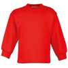 Coloursure Preschool Sweatshirt in red