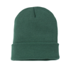 Knitted Turn-Up Beanie in moss