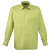 Long Sleeve Poplin Shirt in lime