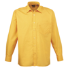 Long Sleeve Poplin Shirt in sunflower
