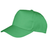 Boston 5 Panel Polycotton Printer'S Cap in apple-green