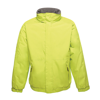 Dover Jacket in keylime-seal