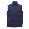 Tyler Bodywarmer in navy