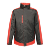 Contrast Insulated Jacket in black-classicred