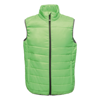 Aerolight Bodywarmer in fairwaygreen-black