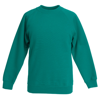 Classic 80/20 Kids Raglan Sweatshirt in emerald