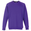 Classic 80/20 Kids Raglan Sweatshirt in purple