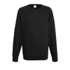 Lightweight Raglan Sweatshirt in black