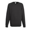 Lightweight Raglan Sweatshirt in light-graphite