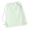 Cotton Gymsac in pastelmint-white