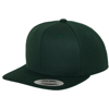 The Classic Snapback (6089M) in spruce