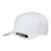 Flexfit Pinstripe (6195P) in white-black